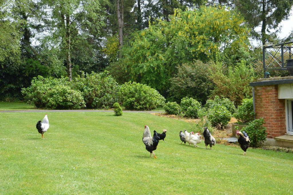 La Grange Des Marettes Bed & Breakfast Cleres Exterior photo